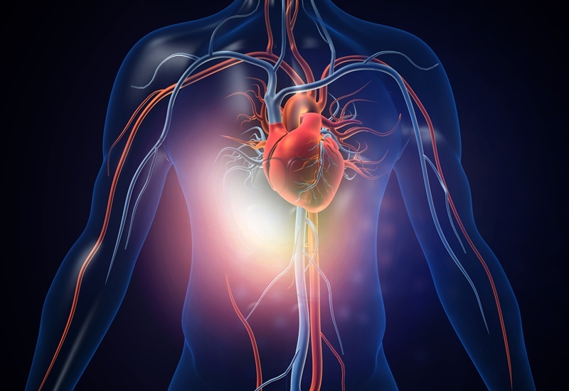 How Can Your Team Optimize Growth Strategies in the Vascular Grafts Industry?